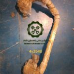 لوله پمپ هیدرولیک لودر